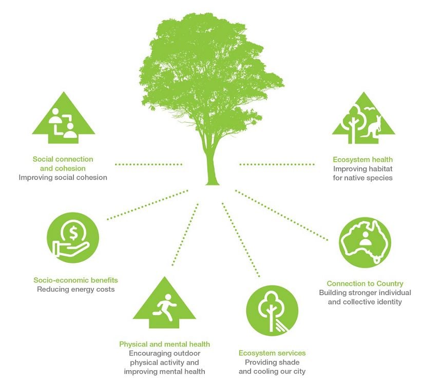 URBAN FORESTRY NECESSITY IN TODAY'S BUILT ENVIRONMENT